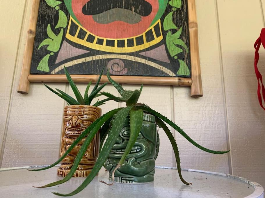Hau'Oli Place Tiki Cottage In โวลคาโน ภายนอก รูปภาพ