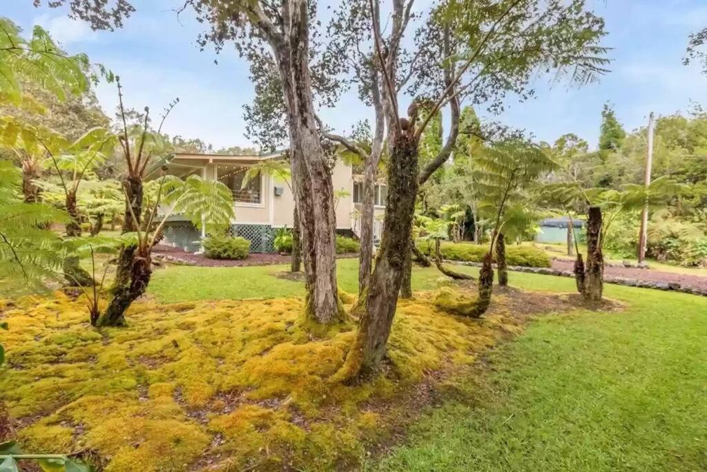 Hau'Oli Place Tiki Cottage In โวลคาโน ภายนอก รูปภาพ