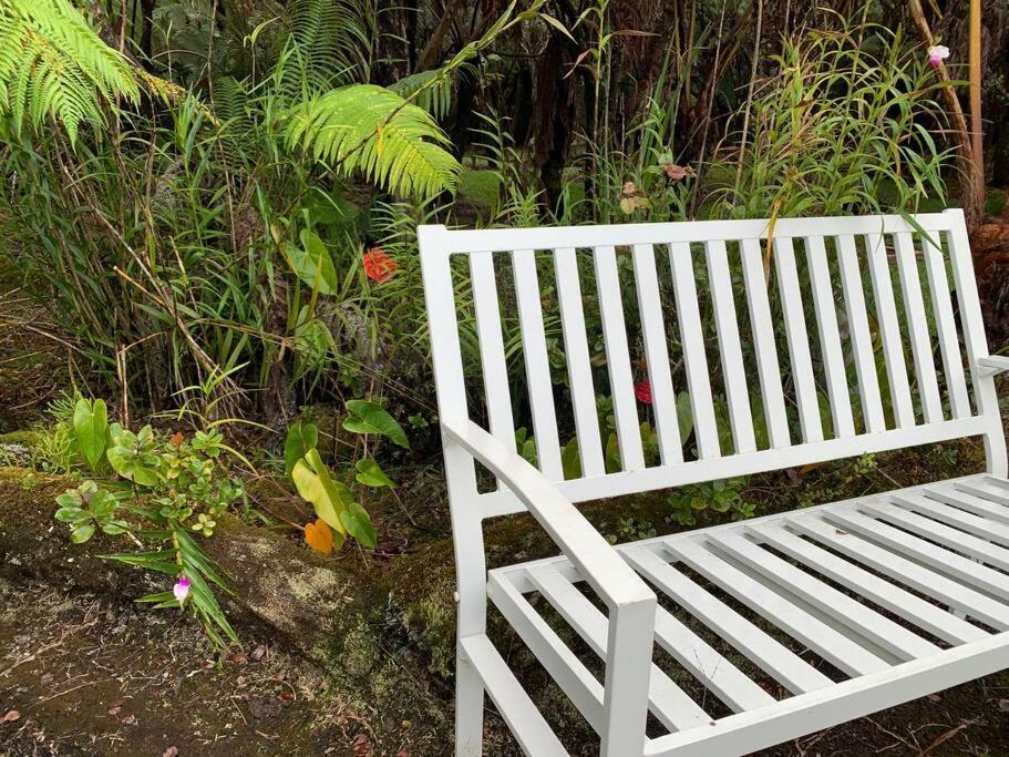 Hau'Oli Place Tiki Cottage In โวลคาโน ภายนอก รูปภาพ